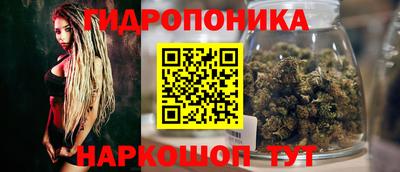 тгк Можга